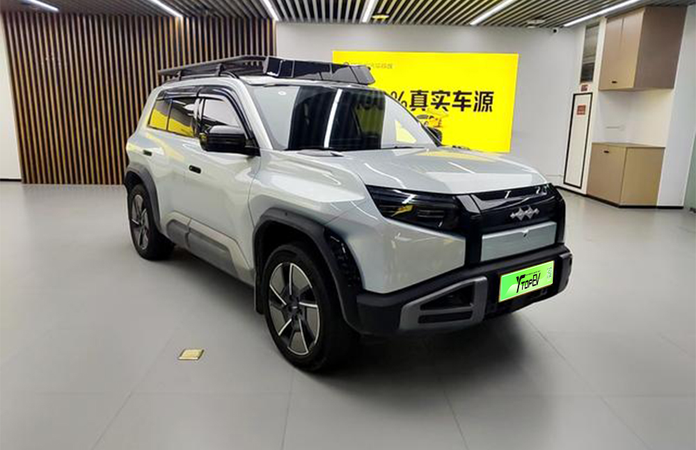 Used BYD Leopard Titanium  3